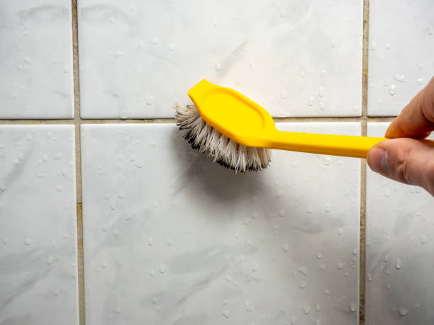 Best Fast Mold Removal  in Ly Lake, IL