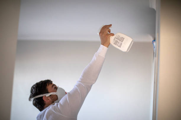 Best Toxic Mold Removal  in Ly Lake, IL