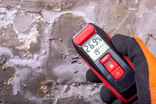 Best Affordable Mold Removal  in Ly Lake, IL