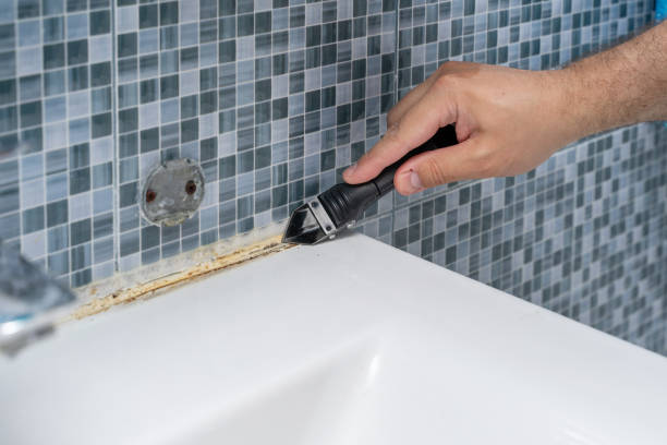 Best Certified Mold Removal  in Ly Lake, IL